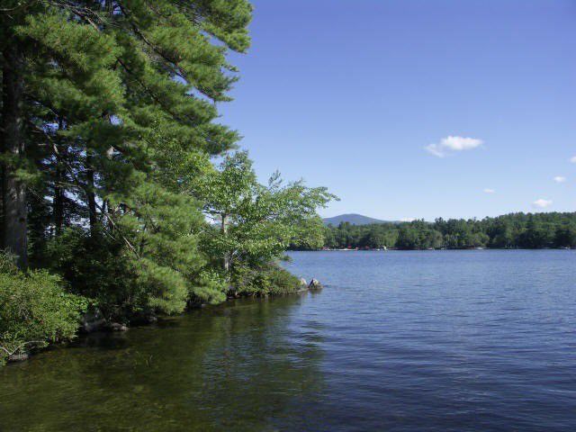 Farm Island